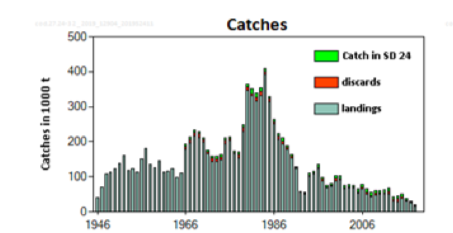 Eastern Baltic Cod